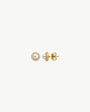 Pearl Earrings 5mm Gold Cometa