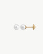 Pearl Earring 18k Gold Earrings 4mm Taylor